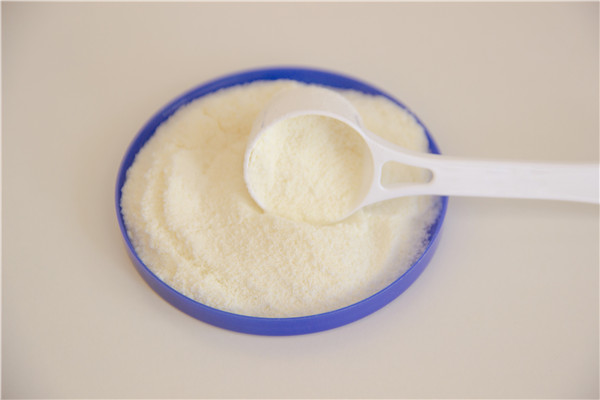 乳铁蛋白粉的作用