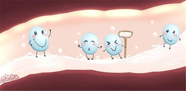 纽瑞优：乳铁蛋白和益生菌的区别？谁才是免疫力的最佳人选