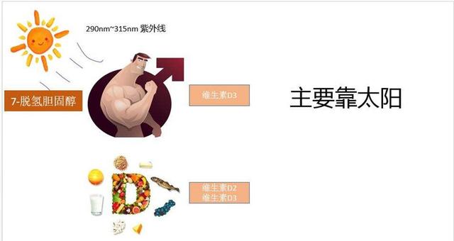 纽瑞优：合理膳食，给孩子一个健康童年