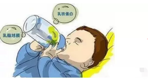乳铁蛋白的强大威力，必须知道！