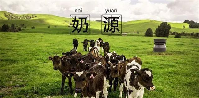 [乳铁蛋白]都在说黄金奶源，究竟什么是黄金奶源，你选对了吗
