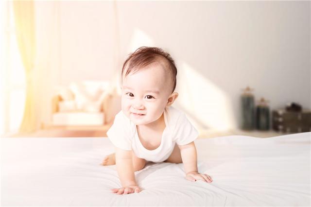 [乳铁蛋白]大脑